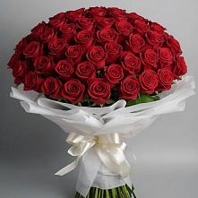Букет 101 Красная роза Блэк Мэджик в Усть-Донецком