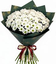 Букет цветов из:  Хризантемы #REPLACE_PRED# Усть-Донецком