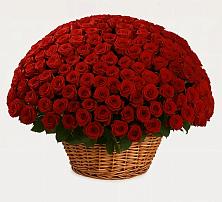 Премиум букет из: Розы #REPLACE_PRED# Усть-Донецком