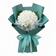 Букет цветов из:  Гортензия в Усть-Донецком